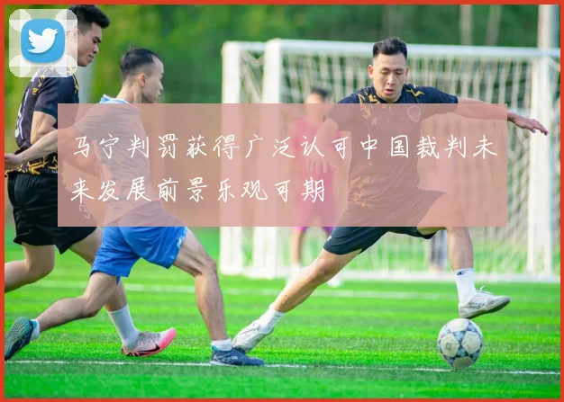 马宁判罚获得广泛认可中国裁判未来发展前景乐观可期