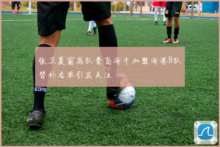 张卫夏窗离队青岛海牛加盟海港B队替补名单引发关注