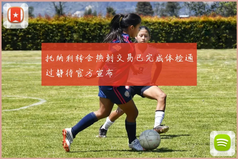 托纳利转会热刺交易已完成体检通过静待官方宣布