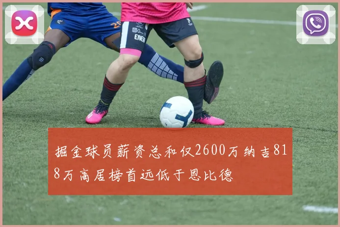 掘金球员薪资总和仅2600万纳吉818万高居榜首远低于恩比德