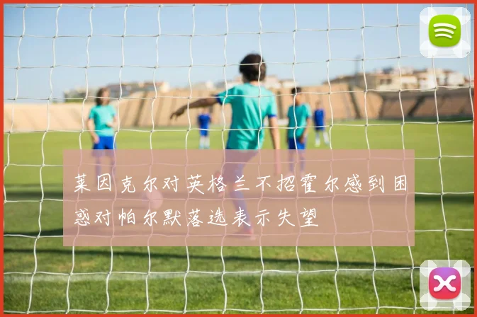 莱因克尔对英格兰不招霍尔感到困惑对帕尔默落选表示失望